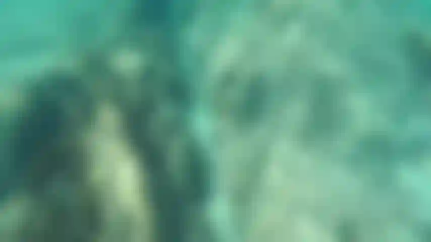Swimming naked in clear water.