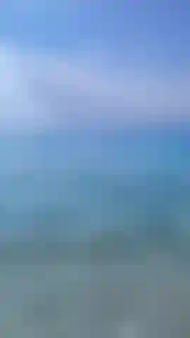 It's feeding time at the beach ;)