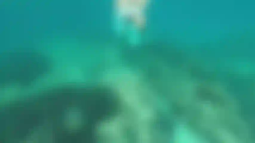 One last dip and away I go.