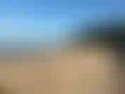 Walking on the beach, then taking a swim