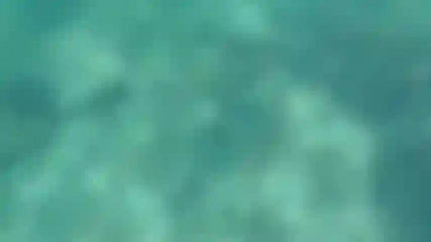 Naked snorkeling with my flippers