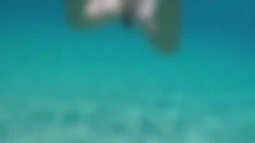 Swimming naked in clear water.