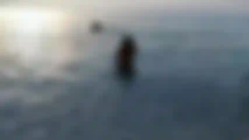Swimming naked at sunset.