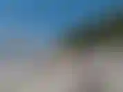 Enjoying myself in a brazilian speedo next to a big tree. View is amazing