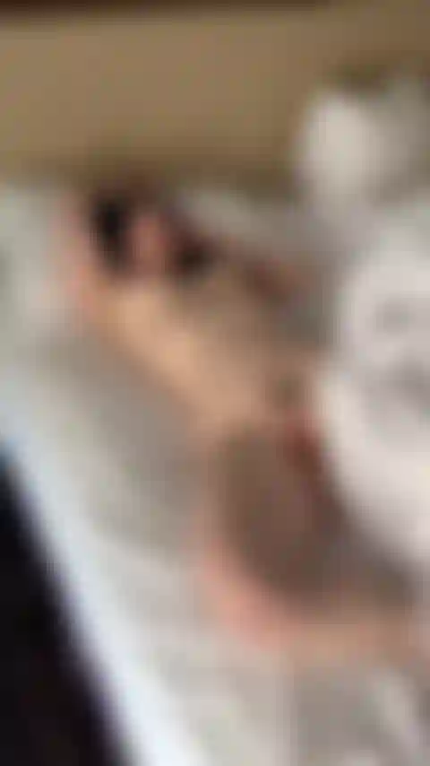 Early morning cum
