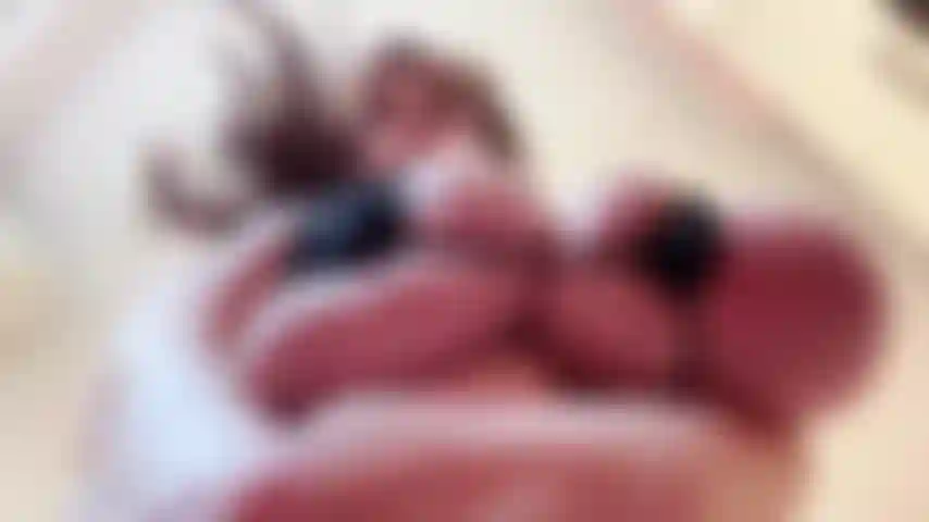 Micro bikini oily boob bounce and dirty talk.