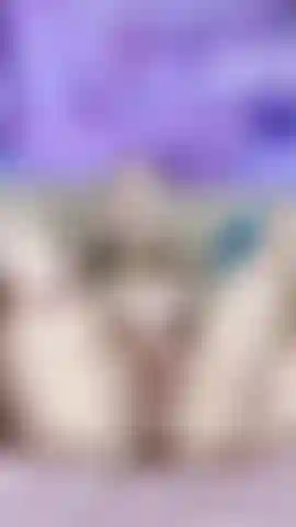 My wet pussy dreams of you)