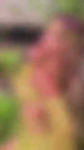 You stumble upon a horny, shy fairy in the forest. Cum into her fairytale while she does a striptease for you