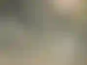 Just look at this... just look