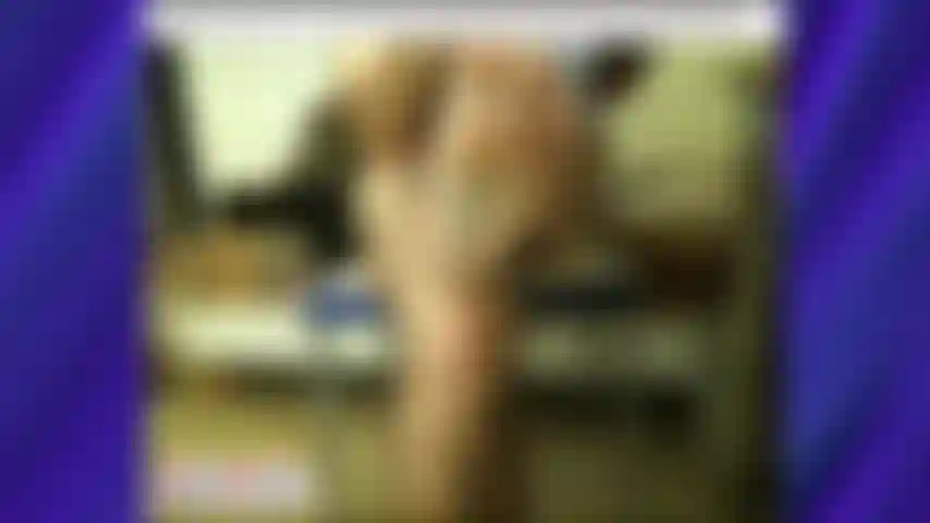 Coach Karl's Feet On the Road In Prague [1281]