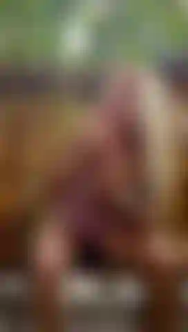 sucking your hard cock