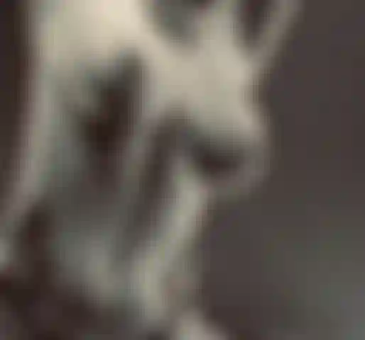 Cosmic Vixx's Tittie Tease