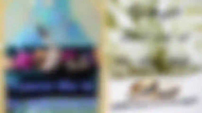 {PREVIEW} I Guess She is My Wife now?! I remember her from last night. We were in the VIP lounge, having fun, and she was in my lap all night. What happened between last night and this morning? Im demanding answers…but with every piece of clothes she strips off I am drooling all over her again. Is that my girlfriend's engagement ring on her finger?!?! HELP!