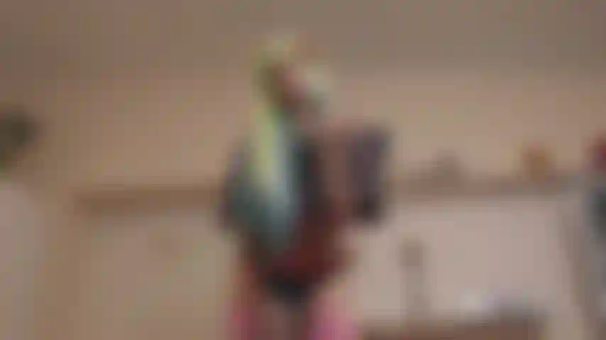 Sissy Bitches need it hard