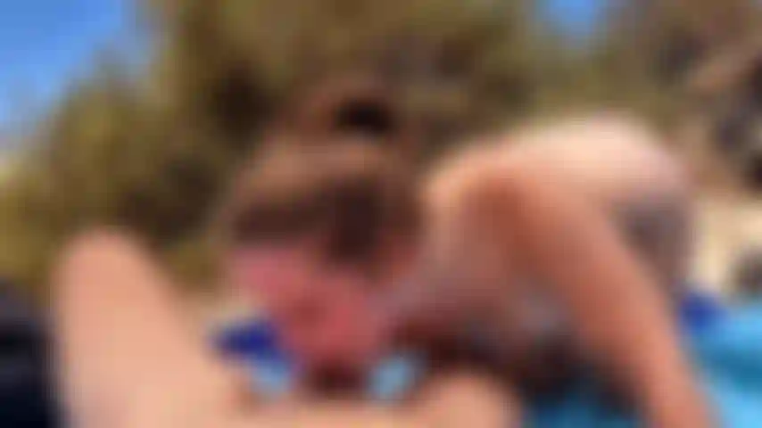 Nudist Beach Blowjob - Cum On Tits