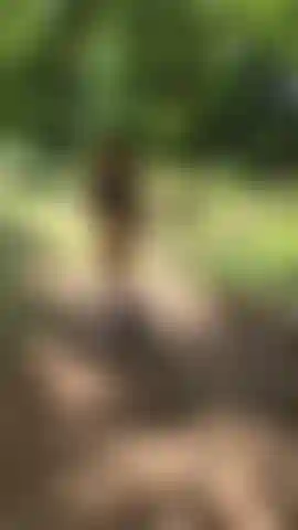 POV: follow me, and i'll flash & tease you