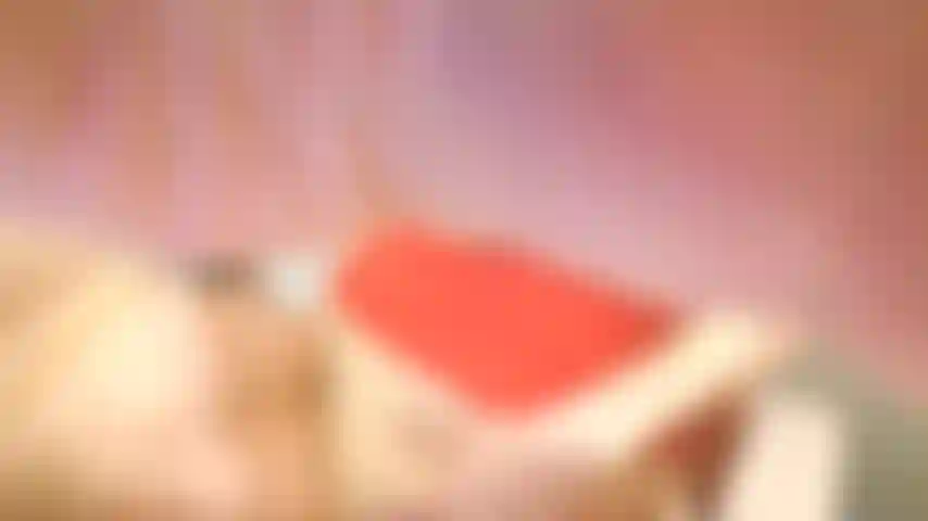 silly_chat and pussy closeup_2025