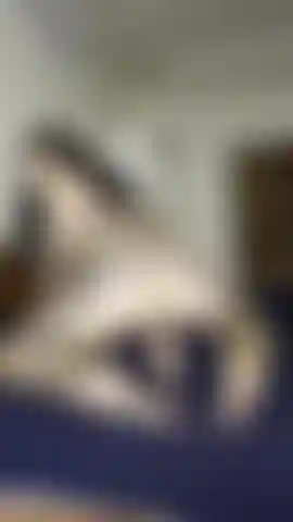 twerking my fat ass on a thick 8 inch dildo.