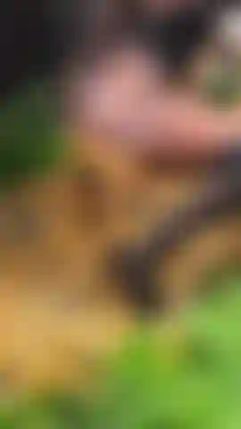 Horny