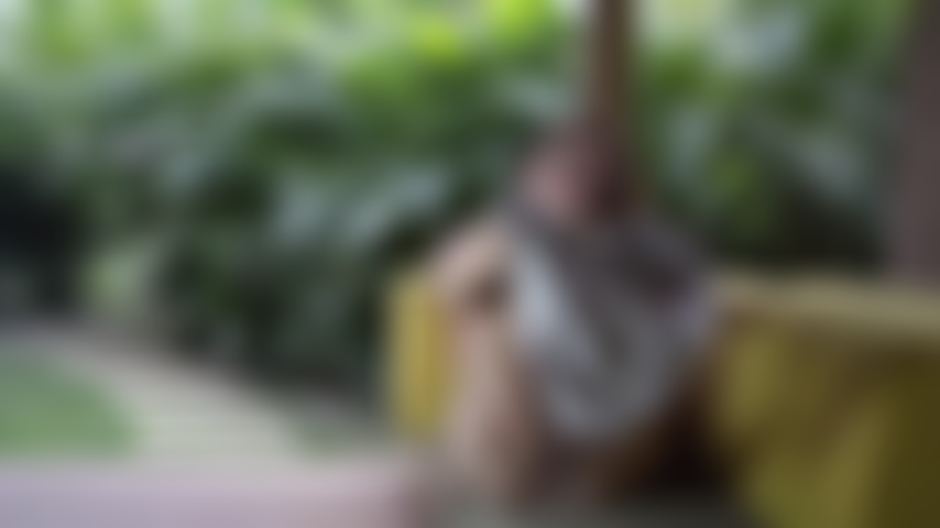 Spreding my legs for you to see all the goodies