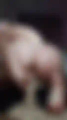 Big Ass Reverse Cowgirl Dildo Riding