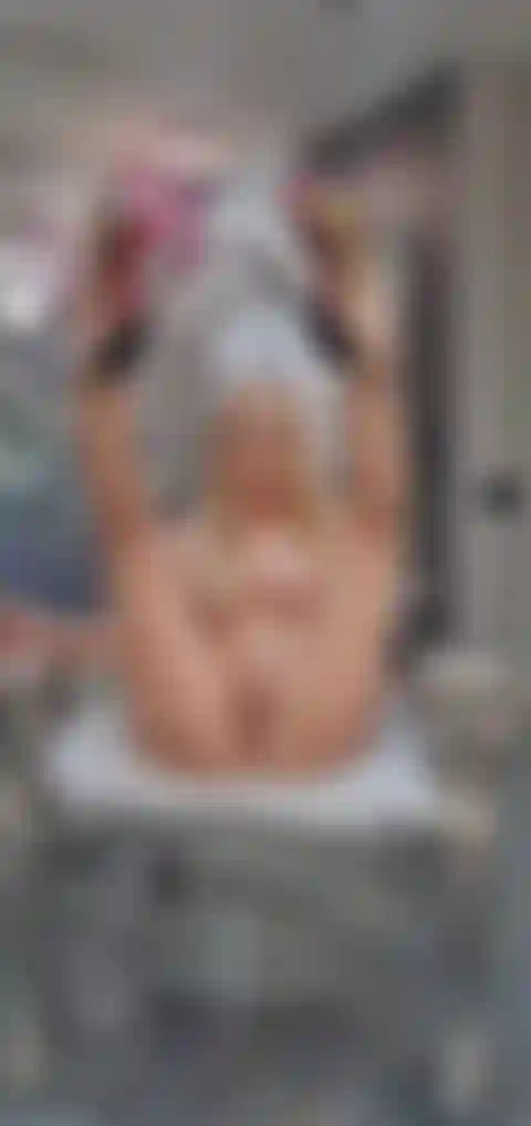 Pussy Play with Dildo and Squirt