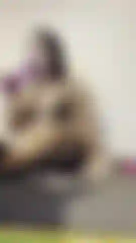 OMG my butthole was too small for that!