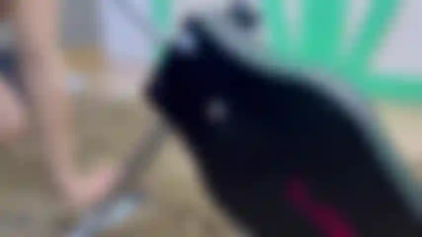 FUCKMACHINE BLOWJOB PART 1