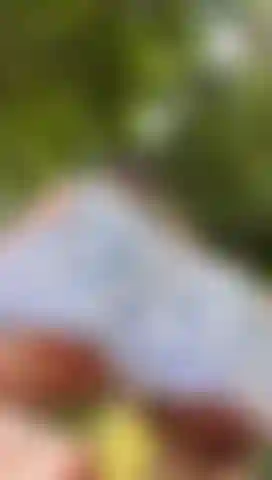 Sweet Mischief Under the Sun