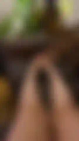 Worship my perfect feet with bright red toes.