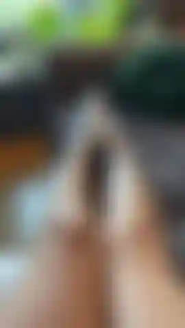 Foot tease in my white trainer socks slowly taking them off.