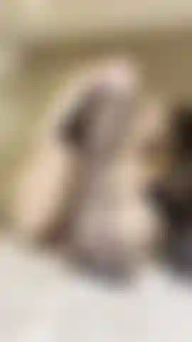 teasing with my stocking covered feet