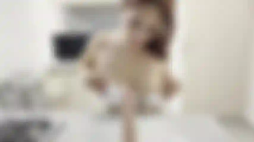 great breakfast blowjob, cum in my mouth