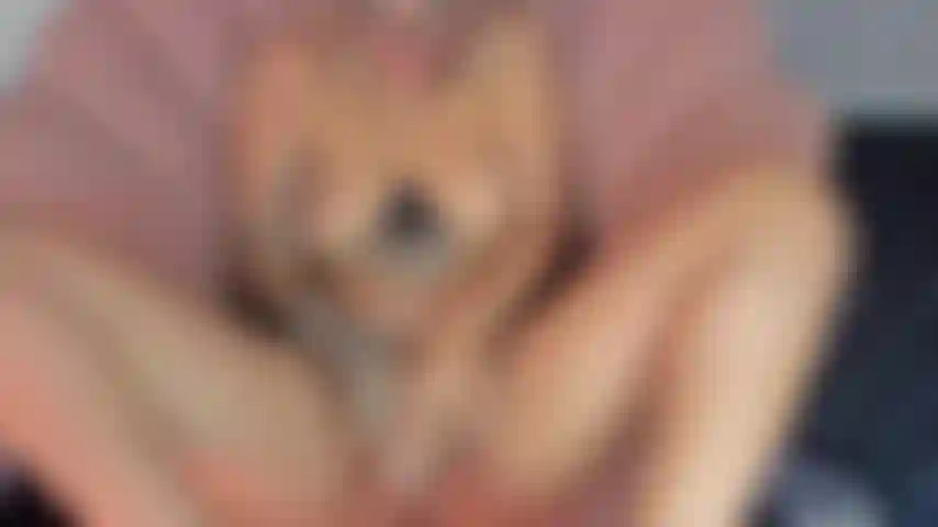 My tits bounce to the rhythm of your delicious cock fucking my pussy.