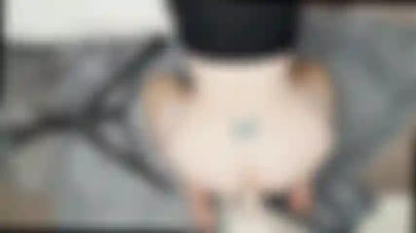 Doggie from above view/wall mounted dildo