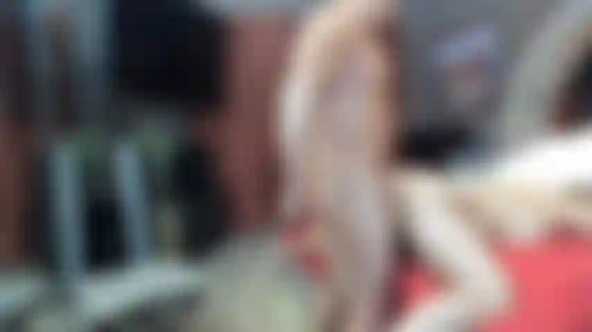 Doggie short clip