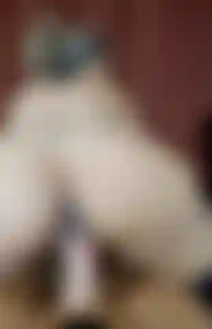 BIG ASS TO CAMERA RIDING BO BLAKE THICK COCK