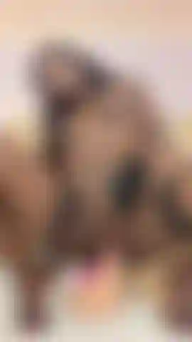 riding on a good cock🥵