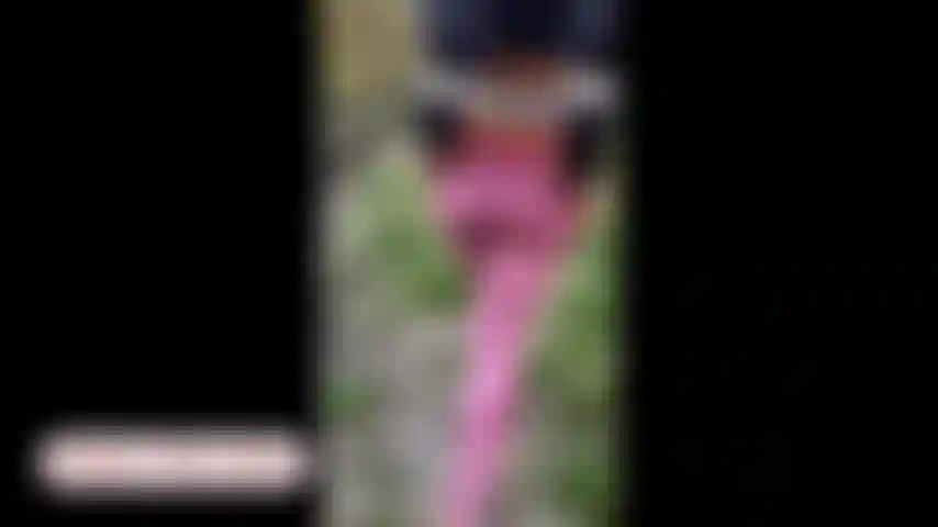 POV blowjob in the woods (from my 2020 archives)