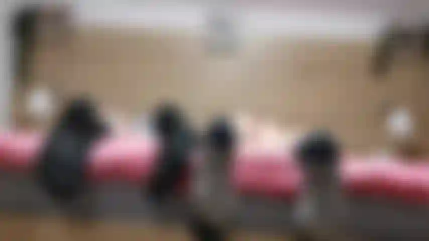 CUCKOLDED FOOT BITCH -DOUBLE FEET IGNORE You are my cuckold foot addict husband. After finishing sex with a real man you are lucky enough to be let into the bedroom. How do you feel kneeling on the floor right at the end of the bed and  being ignored?