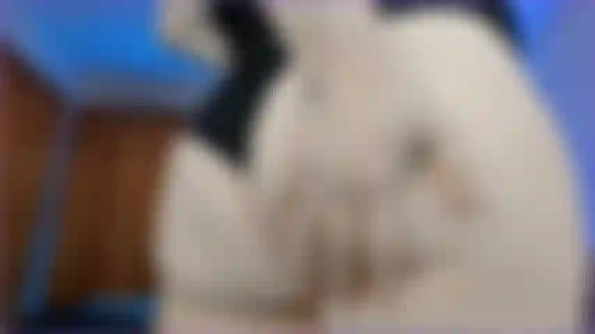 Worship my big booty!