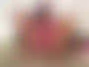 (28) GoldieStar in this slideshow Photo Set wears Hot Pink Bra and Crotchless Panties.  Pussy Play.