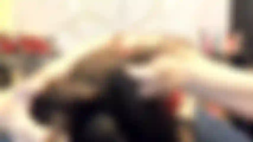 (GS.444) GoldieStar performs in GOLD SHOW. Roleplay(Calling all in the room by name...) 9 Minutes. Red Teddy.Black Stockings, Big Tits, Squirting, Anal, DP, ALL WHITE DILDOS (1/20/2022)