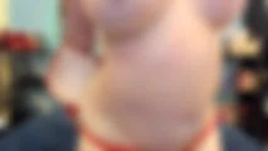 (GS.481) GoldieStar performs in GOLD SHOW. Roleplay (Calling all in the room by name...) 8 Minutes. GILF, Hairy Pussy, Bare Feet, Squirting, Anal, Interactive Toy, DP, ALL WHITE DILDOS (2/25/2022)