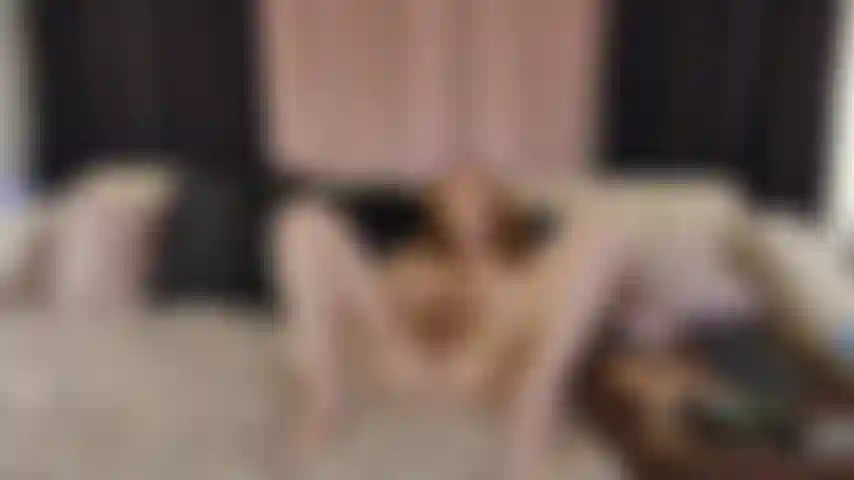 The good slut.