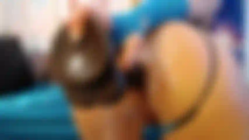 Anal Close Up View of Monster Cock