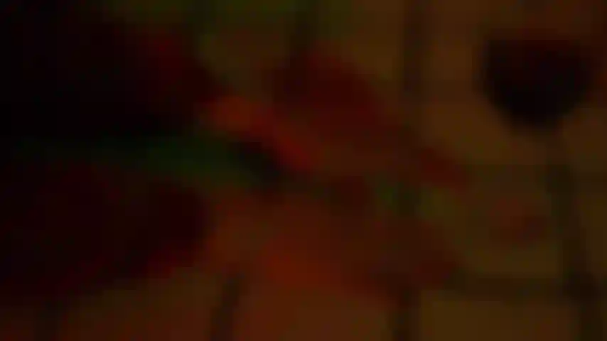 Smoking hot evening in the kitchen