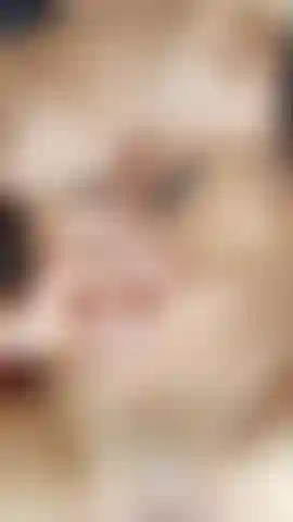 The heat is consuming me fucking my pussy and my ass at the same time makes my heat rise, but my body cries out for the warmth of your caresses as I reach the peak of stasis, join this hot and wet moment for me, I promise you won't regret it