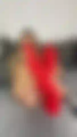 Sexmachine Pussy 4.0