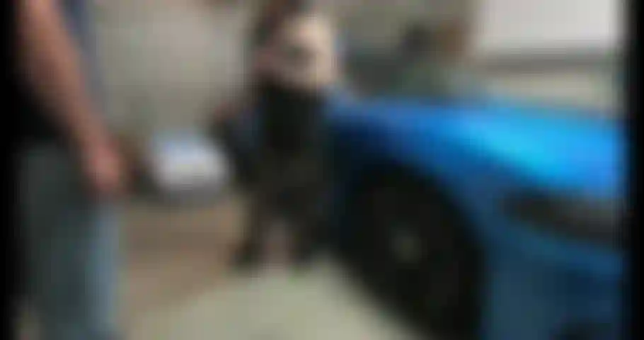 I've been so horny during this Coronavirus shutdown, but my husband won't let anyone come over. So I snuck my neighbor in and he fucked me in the garage while my husband slept!